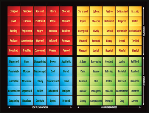 The detailed Mood Meter showing specific emotion words inside each of the four quadrants.