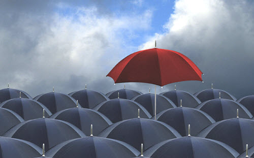 The Newberger Difference