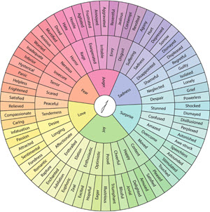 The Wheel of Emotions, with core emotions at the center and more precise words in the outer rings.
